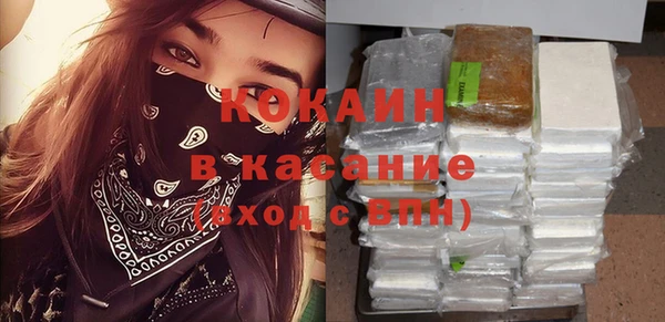 дмт Осташков